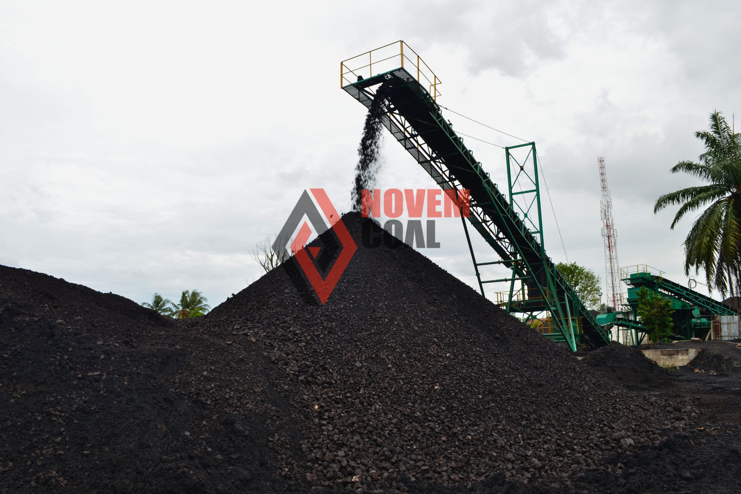 Novem Coal